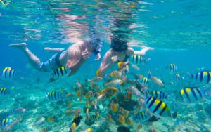 things-to-do-gili-trawangan-villas-edenia-resort-boutique-hotel-snorkeling