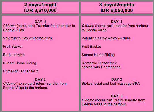 valentinesday-villas-edenia-gili-trawangan-bali-lombok-indonesia